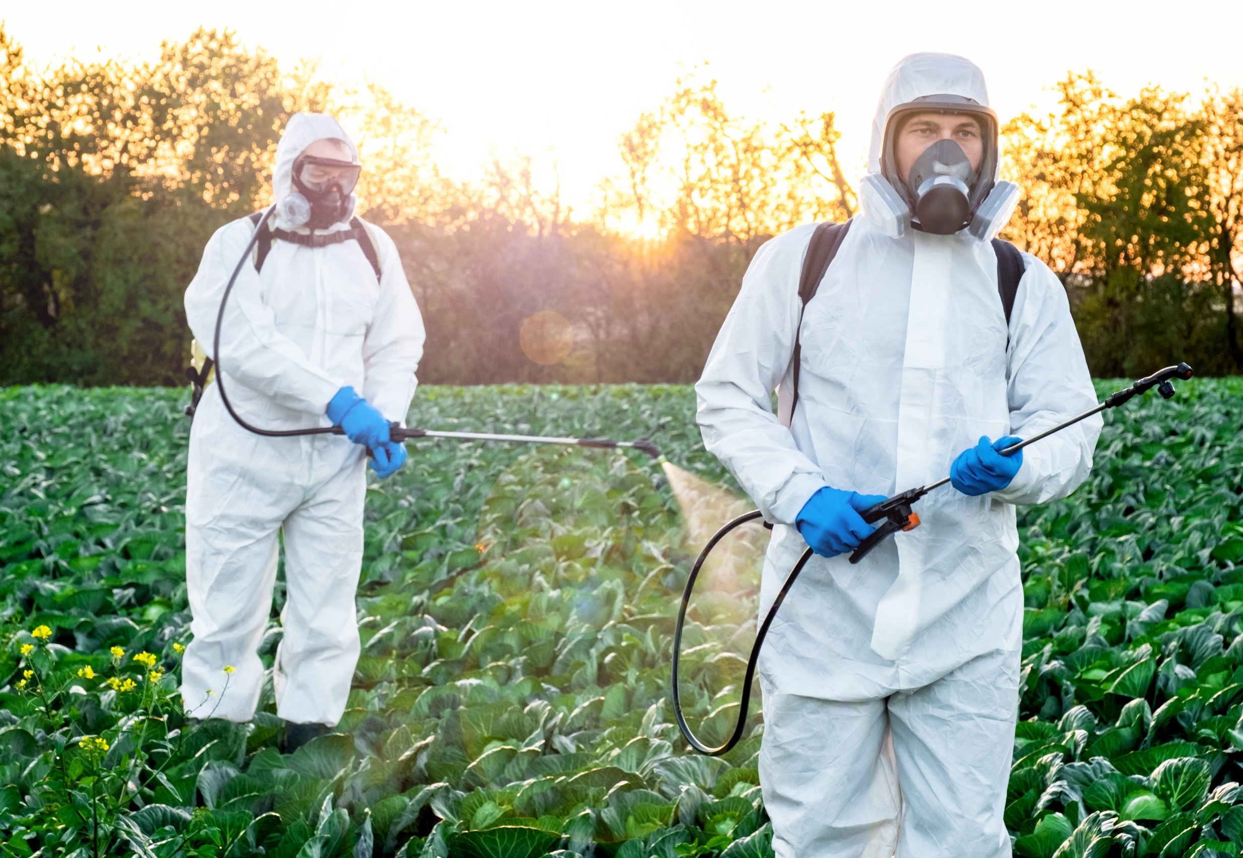 fumigadores campo